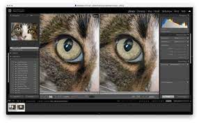 best ai photo editing software